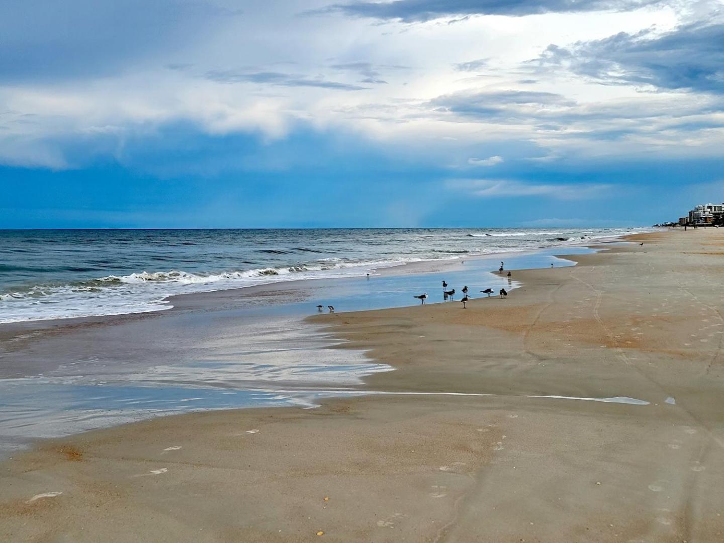 404 - Beautiful 2/2 Ocean View Leilighet New Smyrna Beach Eksteriør bilde